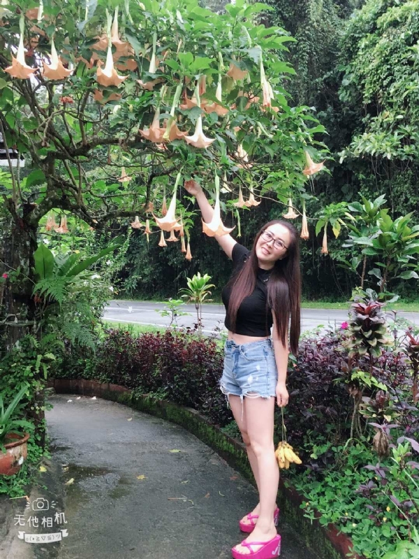 离异单身无子的第二张照片--泉州交友网